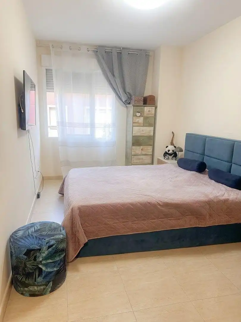 Pis amb terrassa en venda a San Gabriel - Palmeral - Urbanova, imagen 15