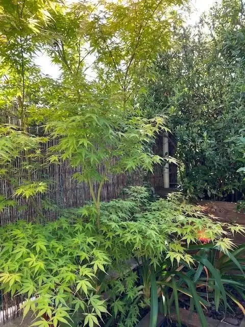 Jardín de Casa adosada en venta en Salomó con Terraza y Balcón