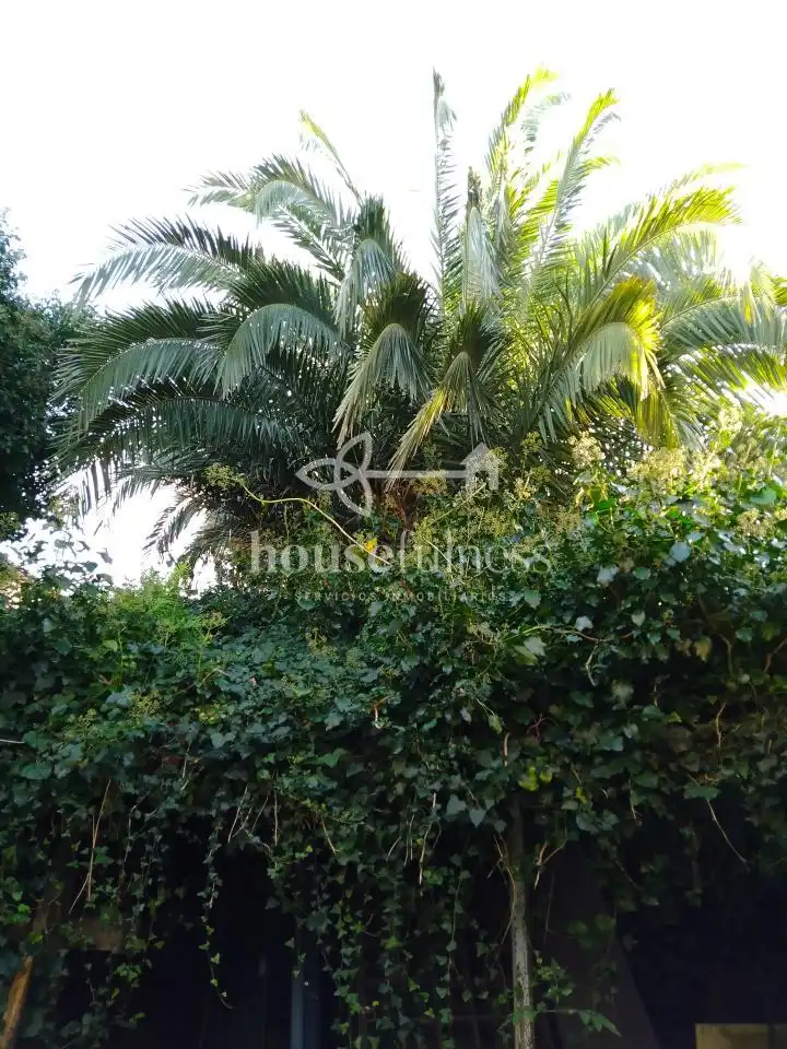 Country house zum Verkauf in Neda mit Privatgarten