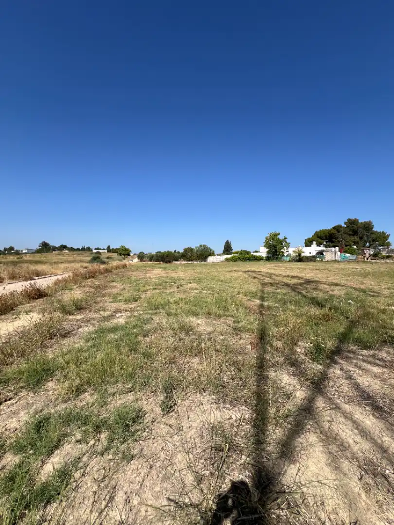 Rural land for sale in Almensilla, imagen 8