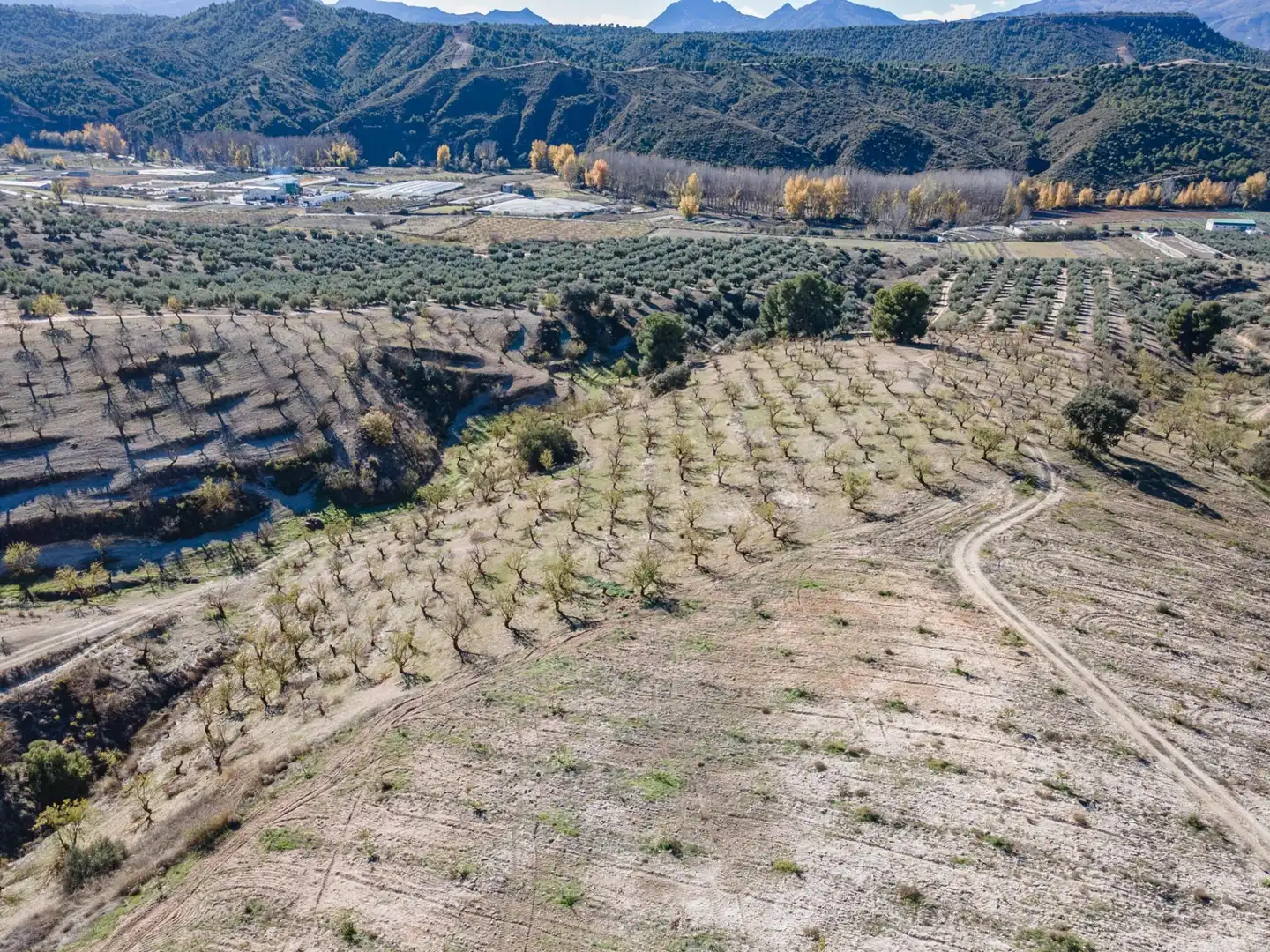 Terreni e lotti in vendita a Jayena 1, imagen 19