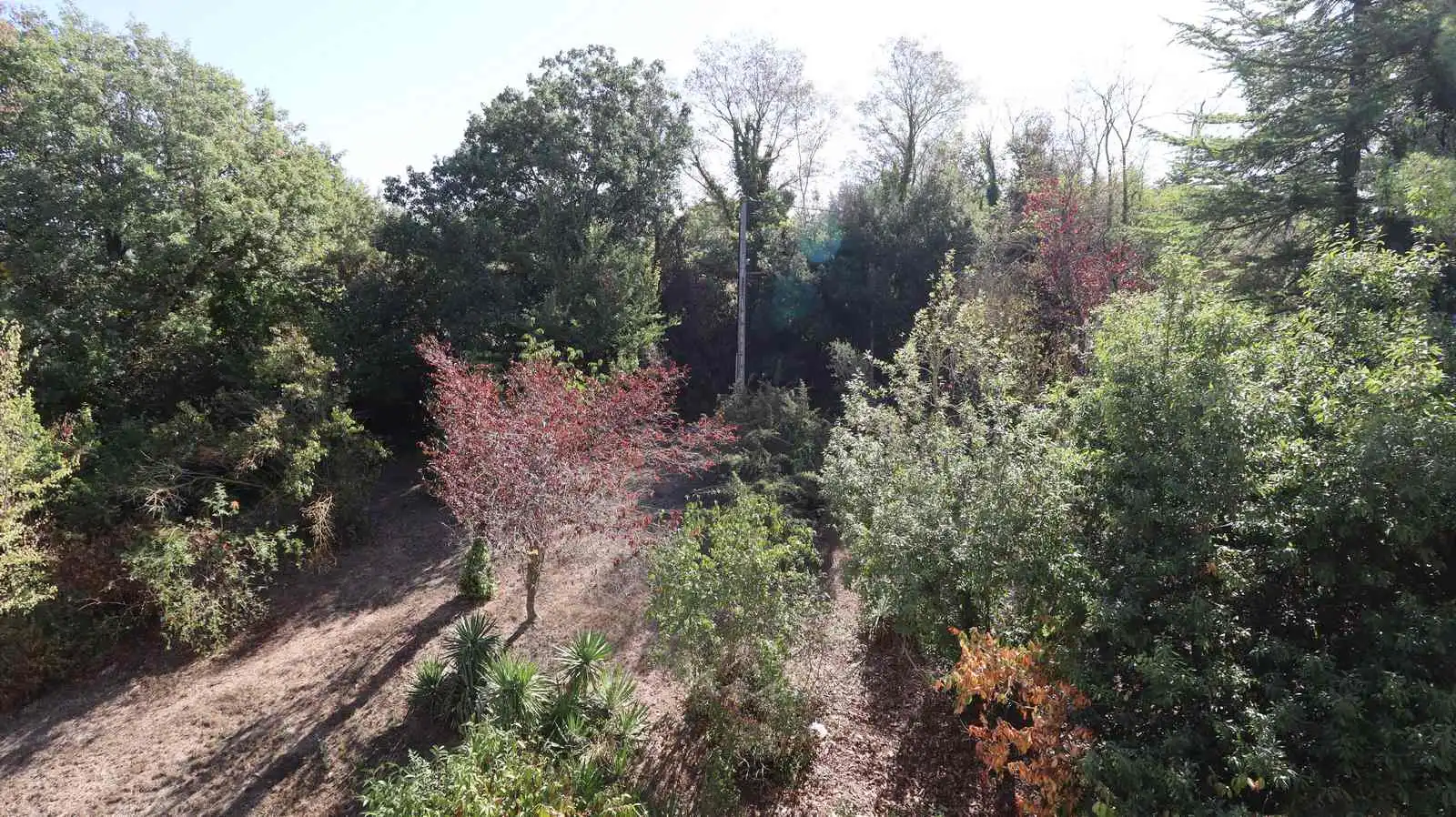 Wohnungen zur Miete in Carrer de Caselles, 4, Moià