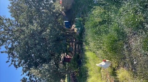 Foto 5 de Casa o chalet en venta en Polígono del Aeropuerto, Manises