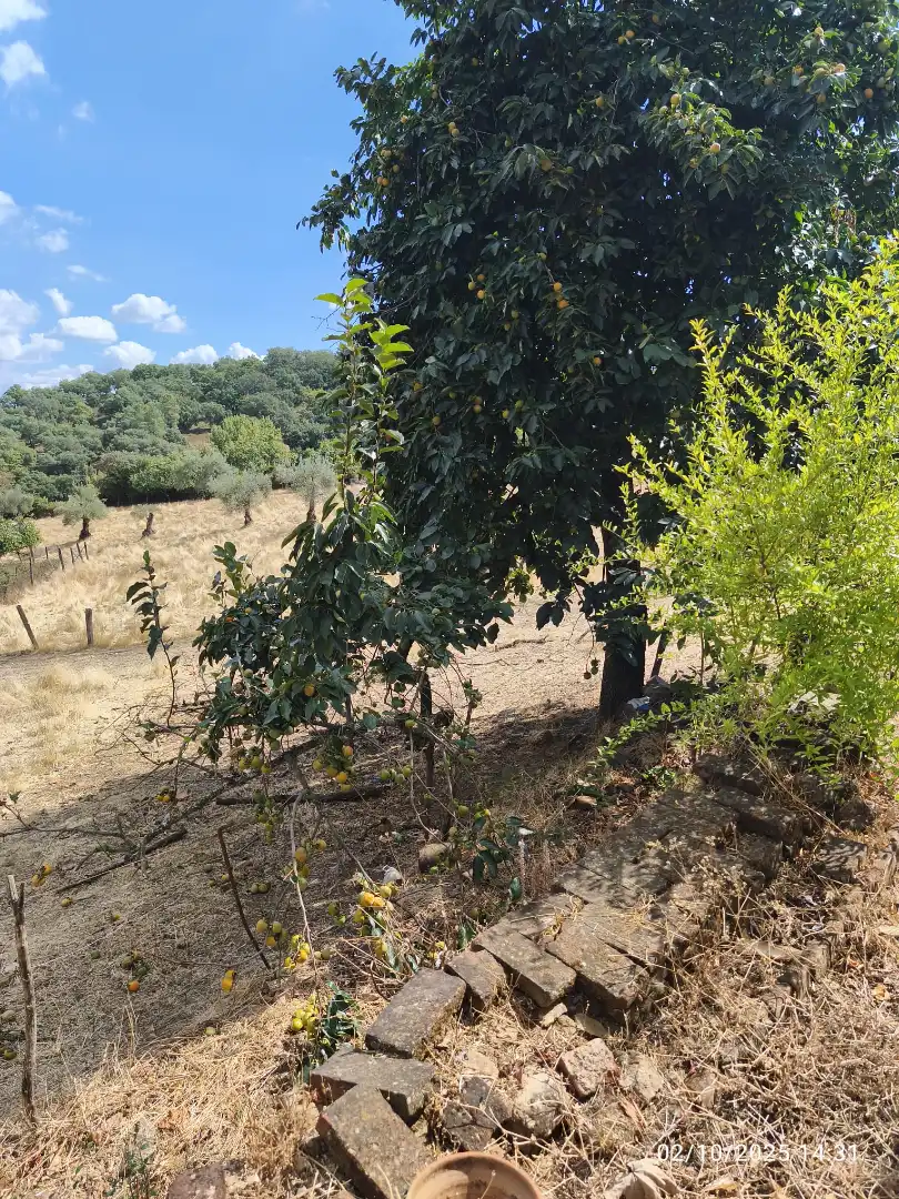 Residencial en venta en Cortegana