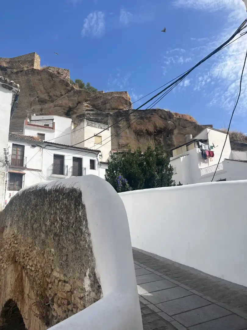 Vista exterior de Casa o chalet en venta en Setenil de las Bodegas con Jardín privado y Trastero