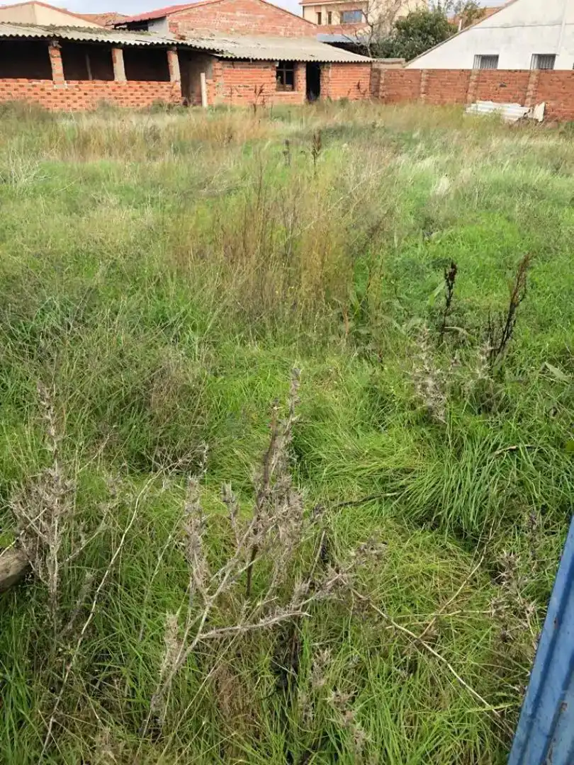 Finca rústica en venta en Codorniz