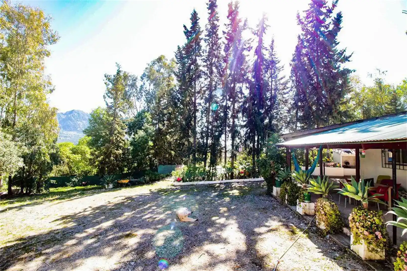 Jardí de Casa o xalet en venda en Gaucín amb Aire condicionat i Piscina