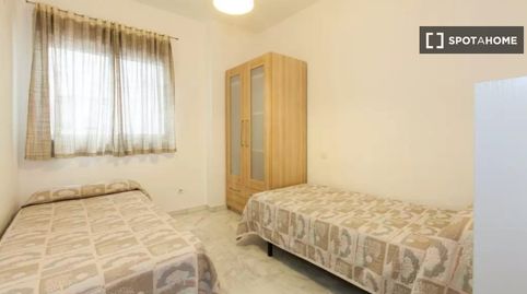 Foto 2 de Habitación en La Oliva, Sevilla Capital