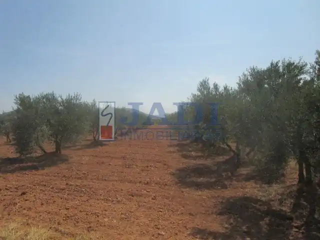 Casa en venta en Valdepeñas, imagen 18