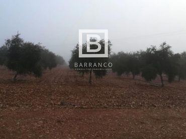 Terreny rústic en venda a El Perchel