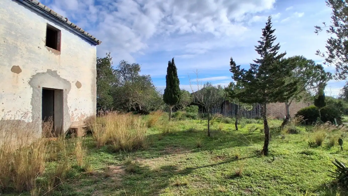 Finca rústica en venta en L'Ampolla