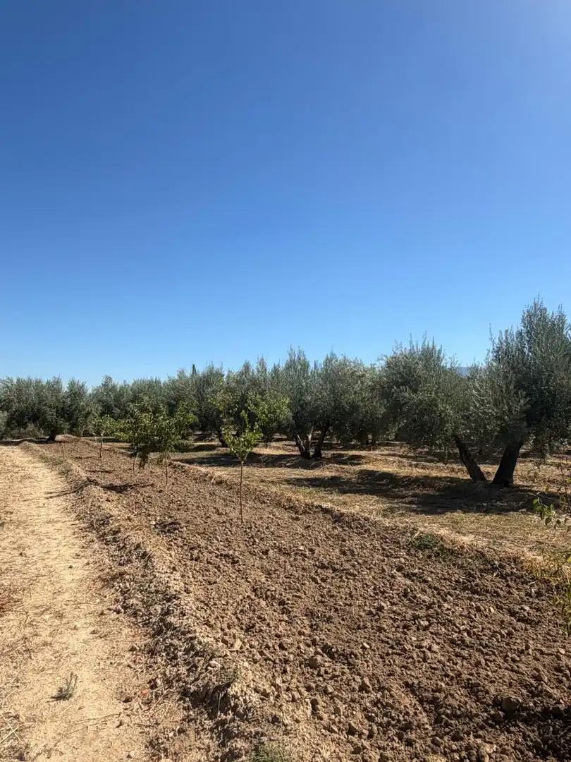 Rural land for sale in Villa de Otura, imagen 7