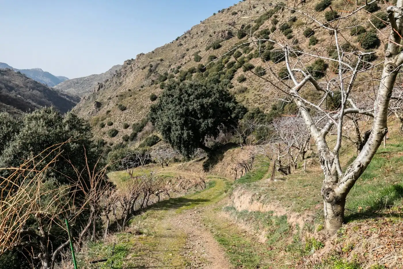 Terreni e lotti in vendita a Majadillas, imagen 6