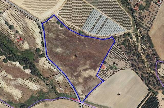 Terreno en Venta en Gibraleón