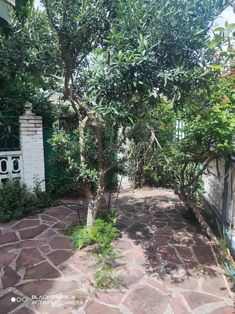 Adosado con jardín en venta en Playa Morro de Gos, imagen 25