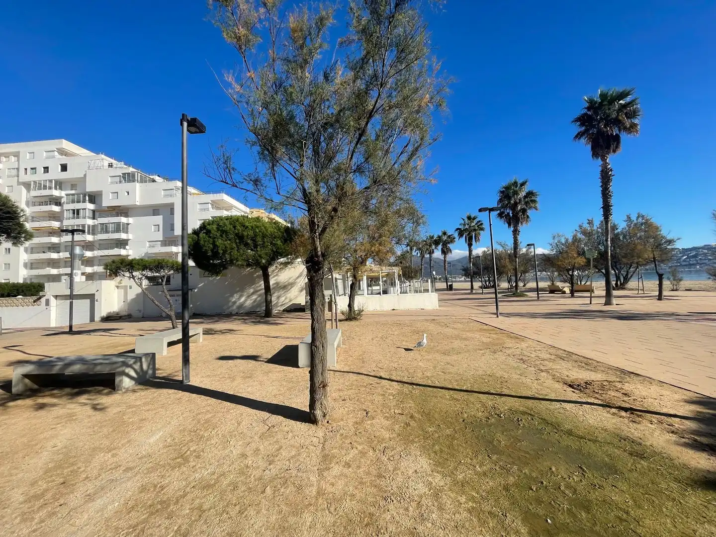 Apartment mit Pool zum Verkauf in bocana 8, imagen 22