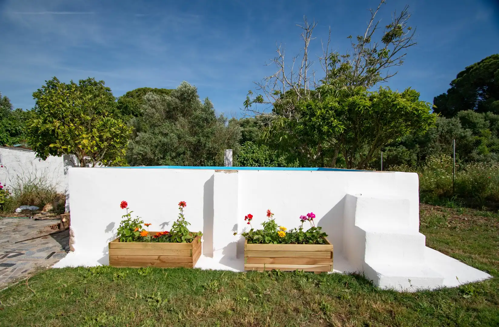 Piscina de Casa o xalet en venda en Chiclana de la Frontera
