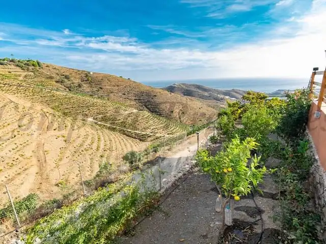 Terreni e lotti in vendita a Torrox Pueblo, imagen 19