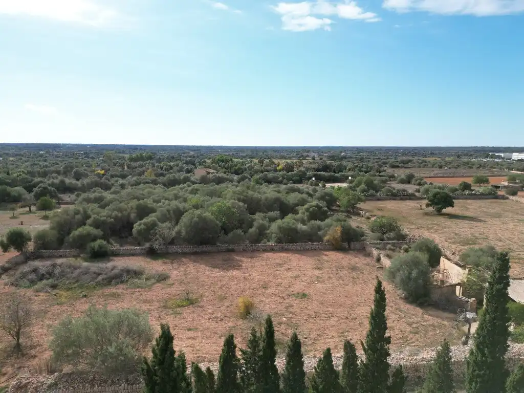 Terreno rustico in vendita a Llucmajor pueblo, imagen 2