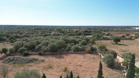 Parcela rural con permiso de construcción y planos de obra en Llucmajor, al sur de Mallorca, immagine 2