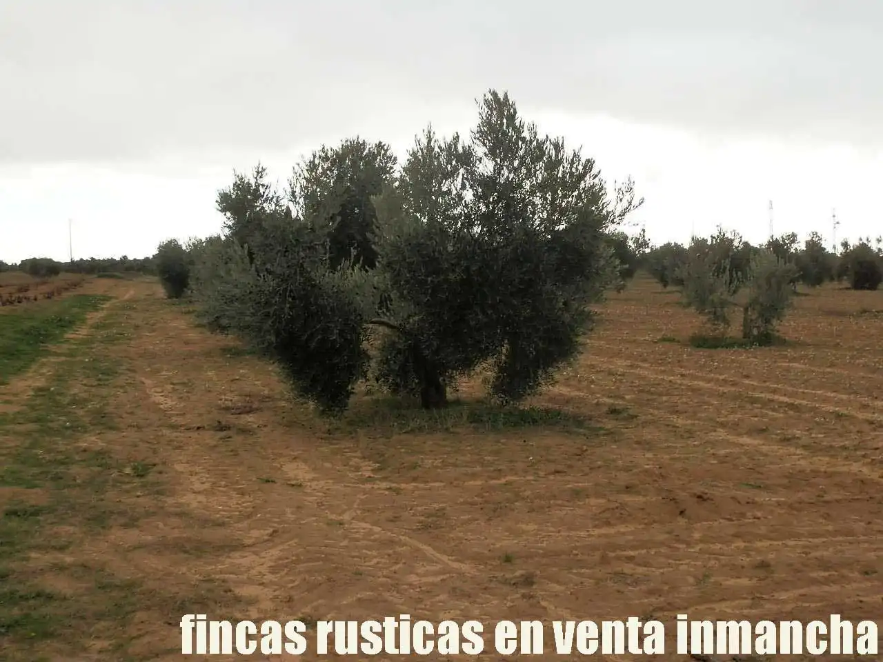 Terreno rustico in vendita a Campo de Criptana, imagen 18
