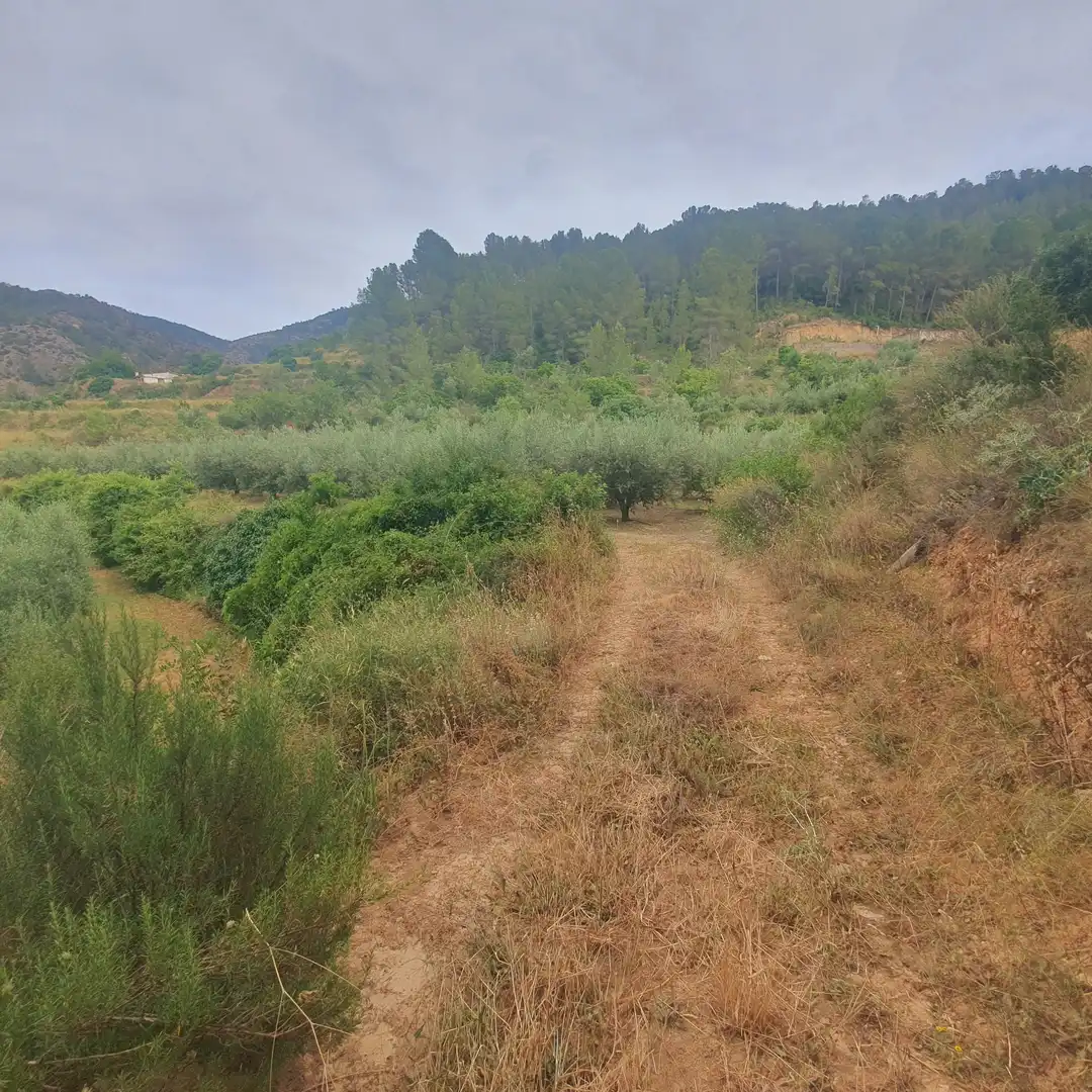 Terreno rústico en venta en Benifallet, imagen 22