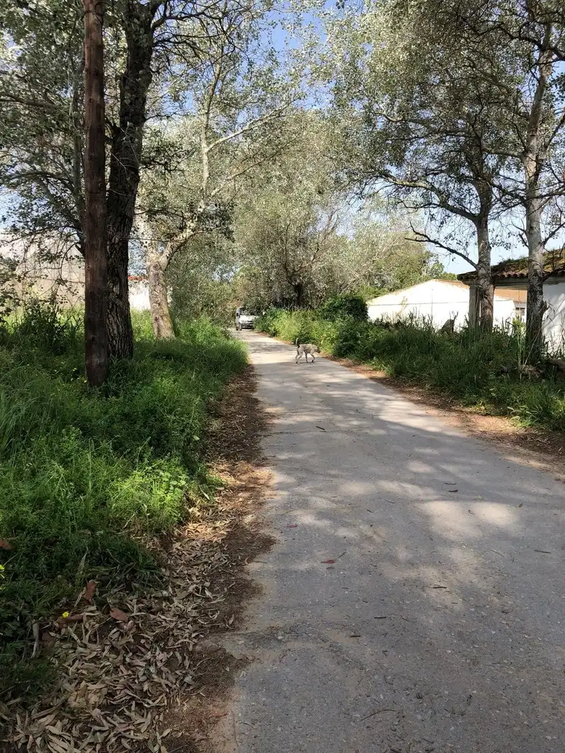 Terreni e lotti in vendita a Barbate ciudad, imagen 29
