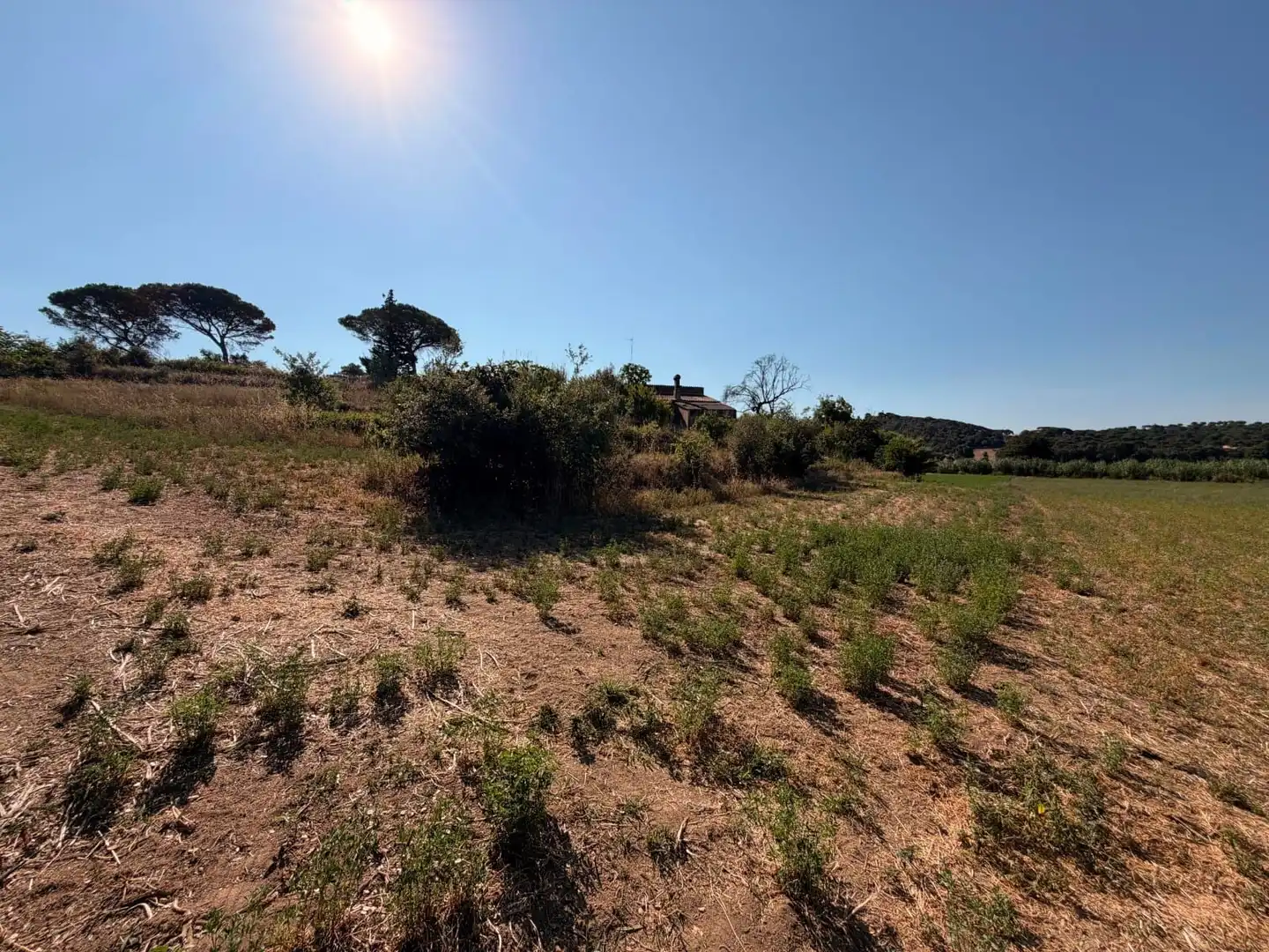 Terreno rustico in vendita a Tordera pueblo, imagen 10