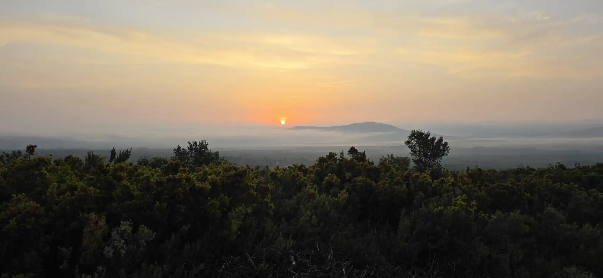 Terreno en venta en Canet lo Roig
