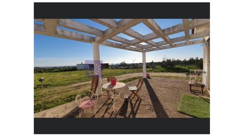 Foto 3 de Finca rústica en venda a Valdesalor - Rincón de Ballesteros, Cáceres Capital