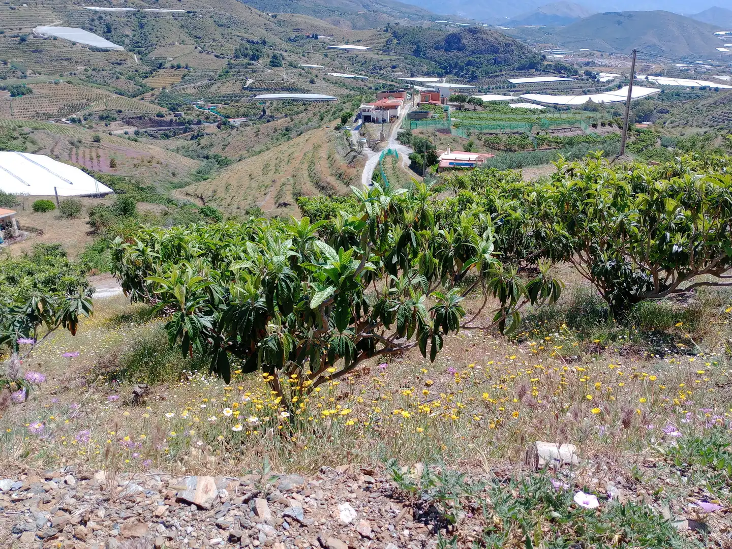 Casa rústica amb piscina en venda a Ítrabo, imagen 21
