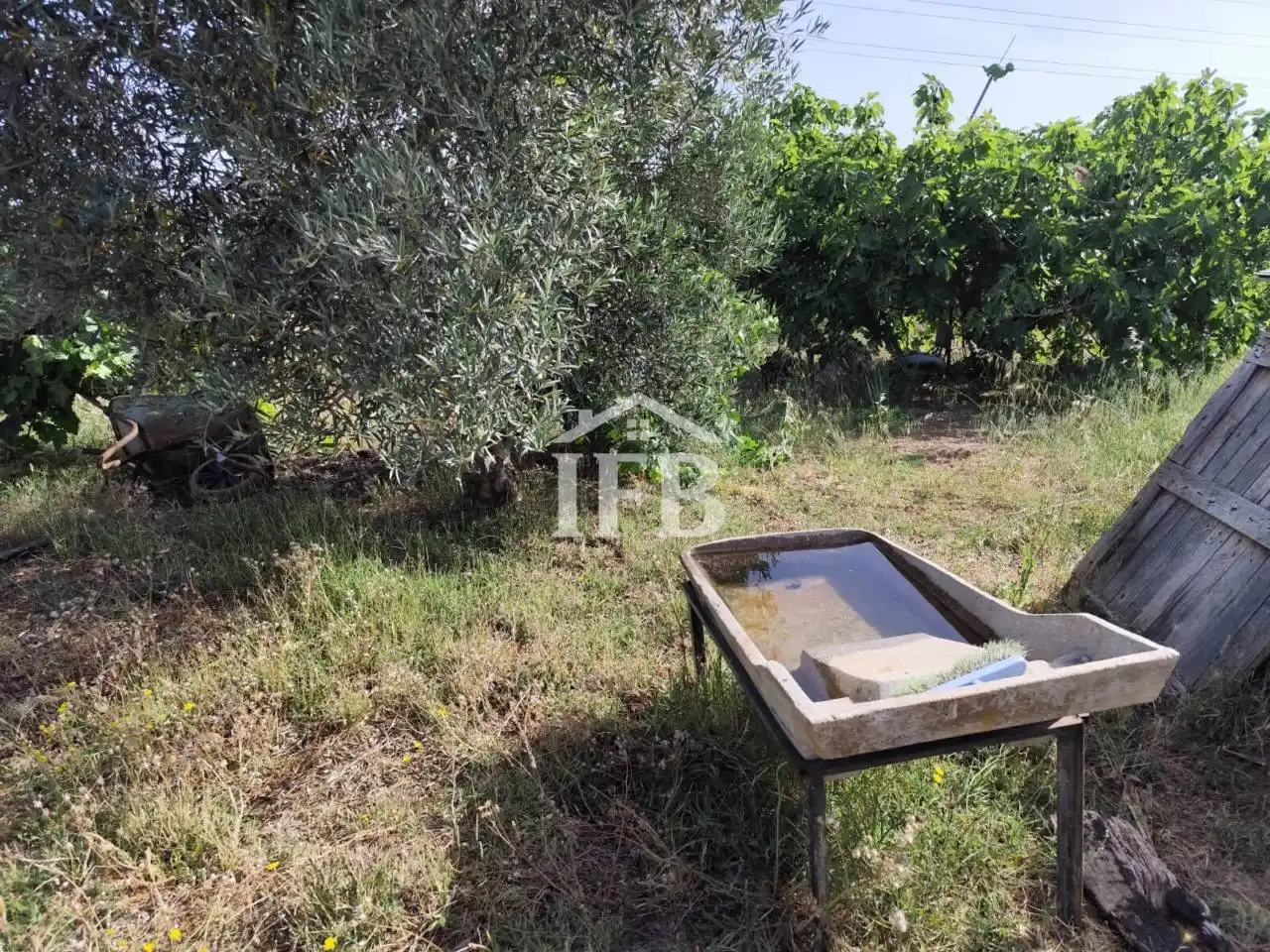Terreni e lotti in vendita a Carretera de Sevilla - Los Montitos