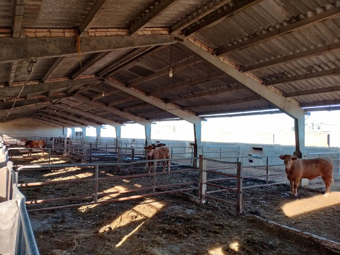 Rural land for sale in Sueca ciudad, imagen 4
