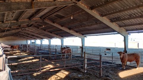 Foto 4 de Terreno en venta en Sueca ciudad, Sueca