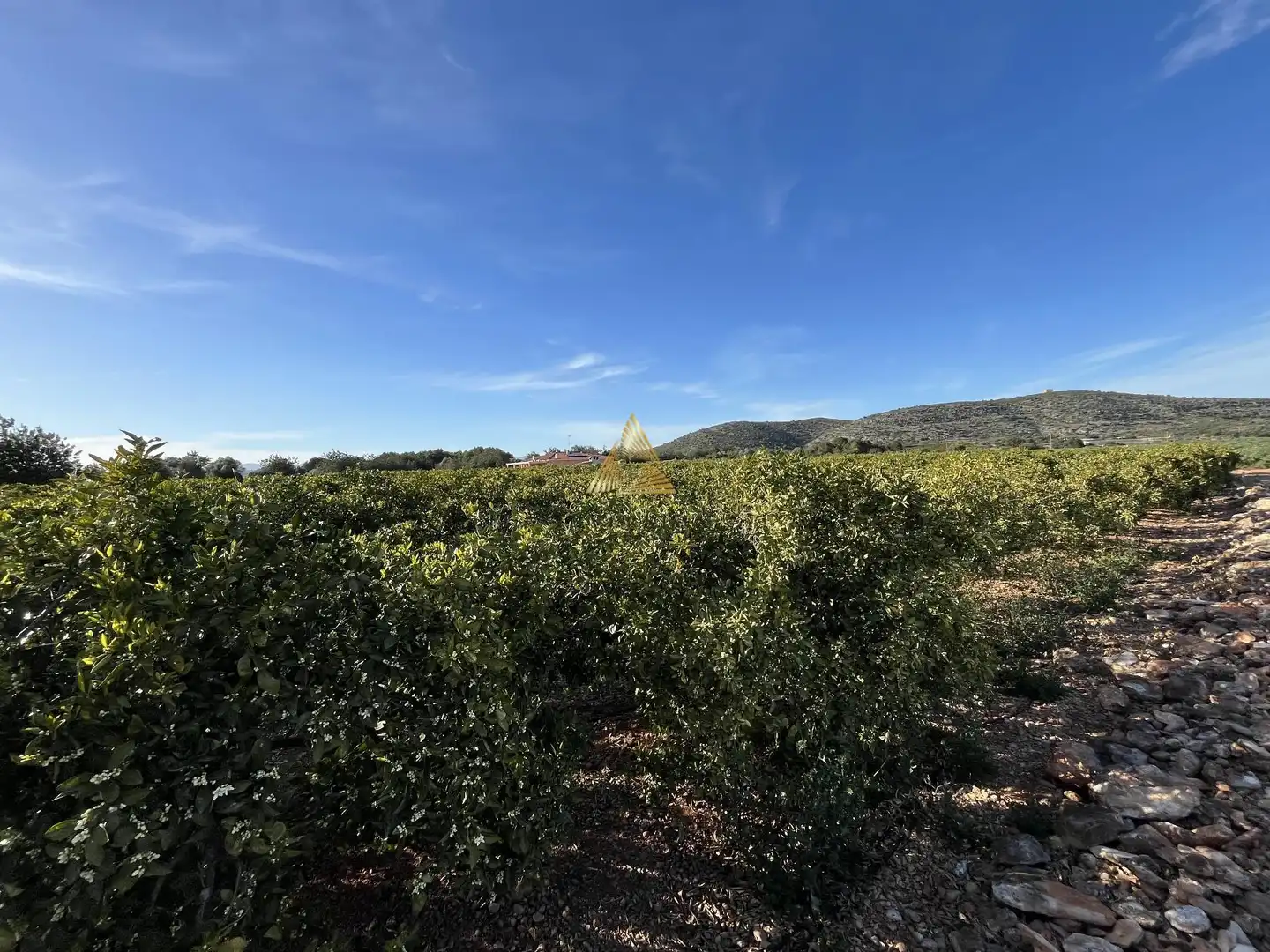 Terrenos y solares en venta en Pueblo, imagen 6