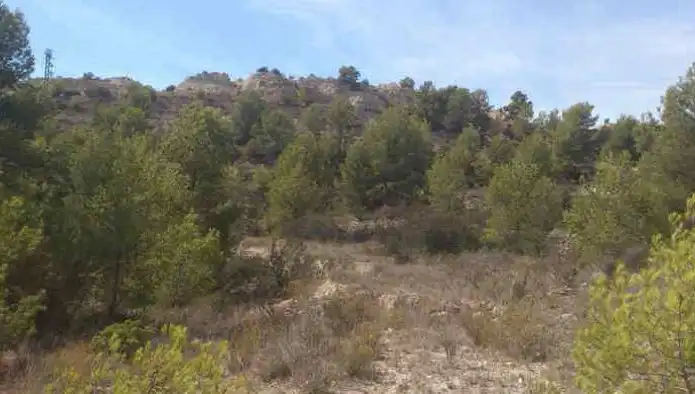 Rural land for sale in Ptda La Robella, Sector el Arquet, imagen 5