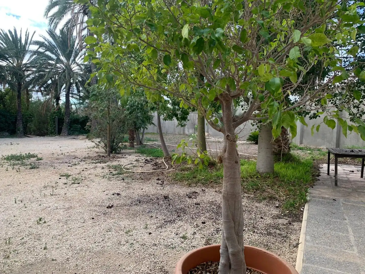 Casa rustica con terrazza in vendita a Partida Camí de Biscarra, imagen 57