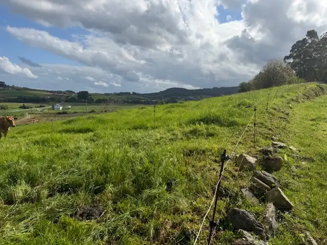 Residential land for sale in Castropol, imagen 12