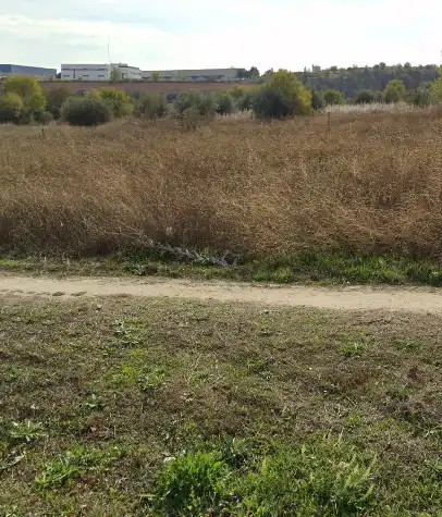 Residencial en venta en Carretera de Circunvalación Sur, Altos del Olivar - El Caracol