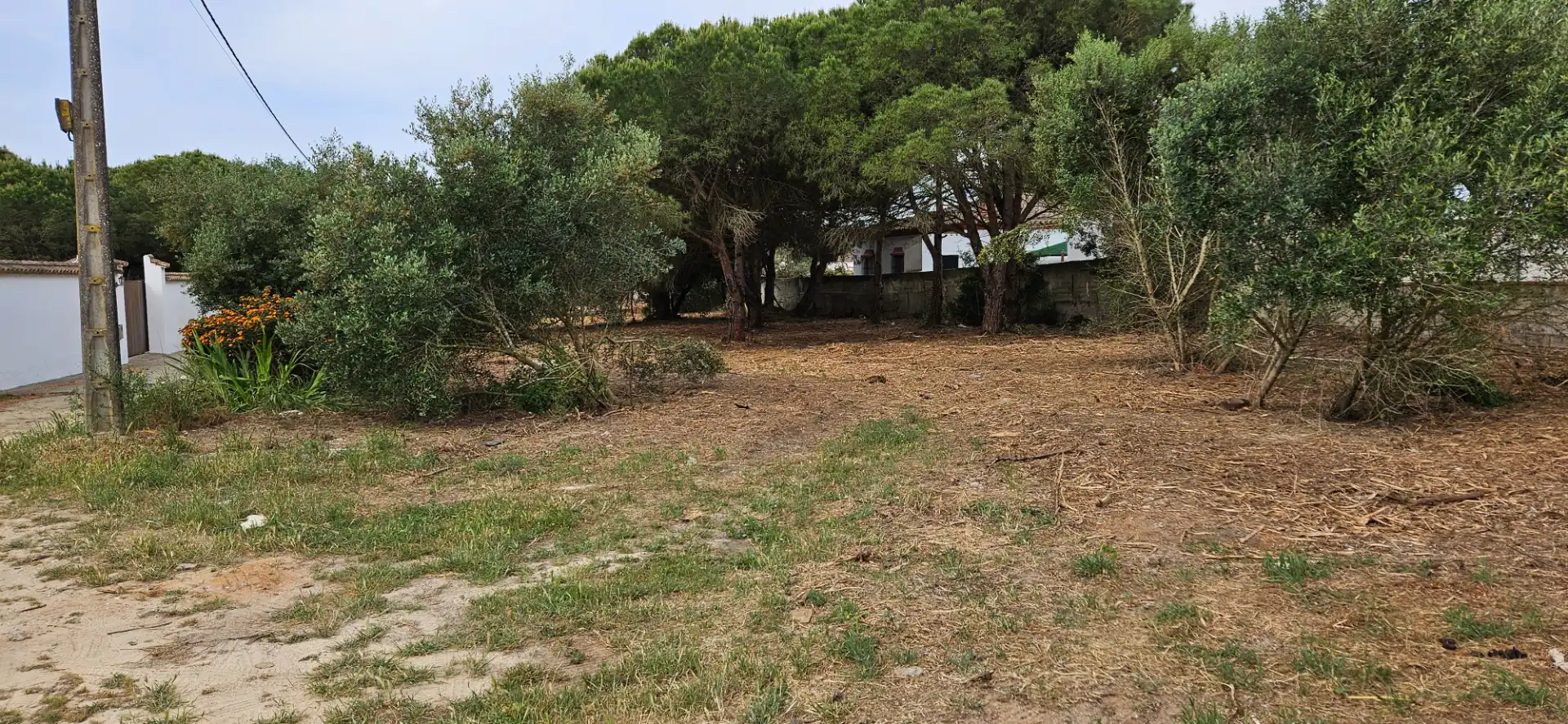 Terrenys i solars en venda a Las Lagunas - Campano, imagen 10