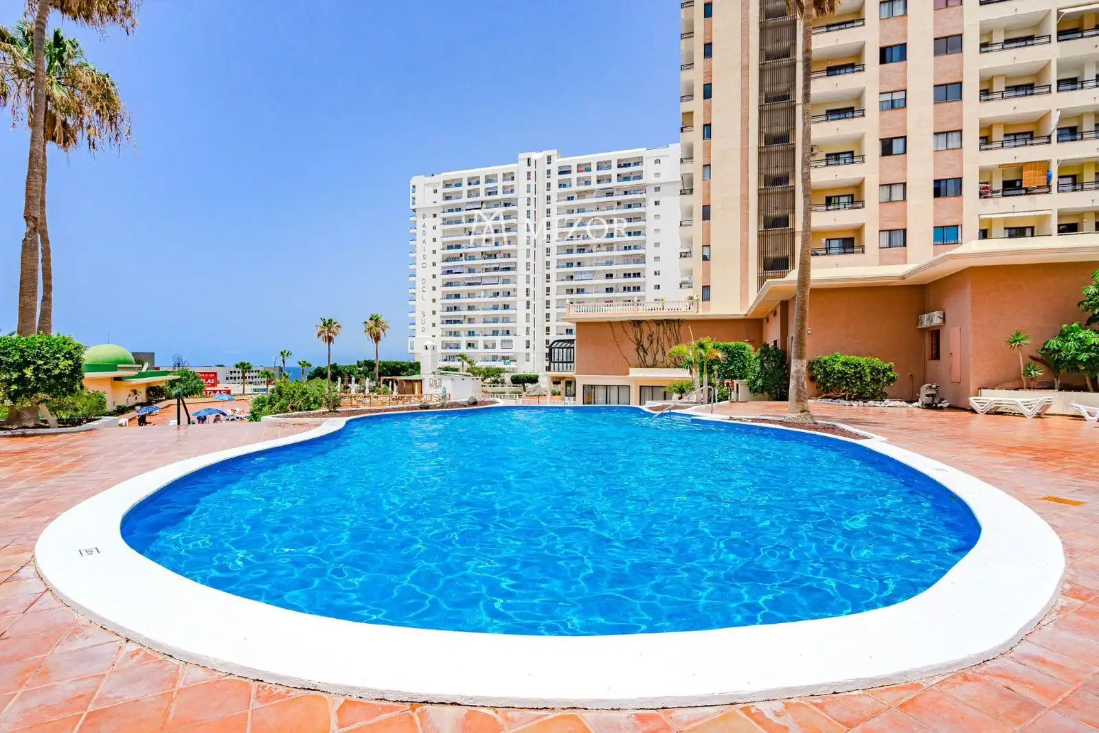 Swimming pool of Flat for rent in Adeje  with Swimming Pool, Furnished and Community pool