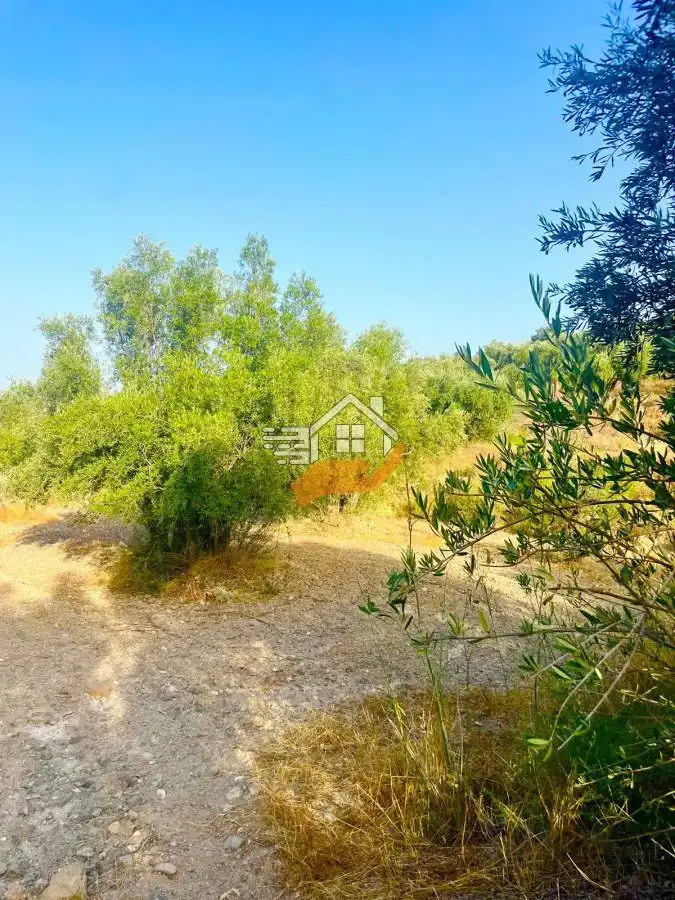 Residential land for sale in Vélez-Rubio, imagen 7