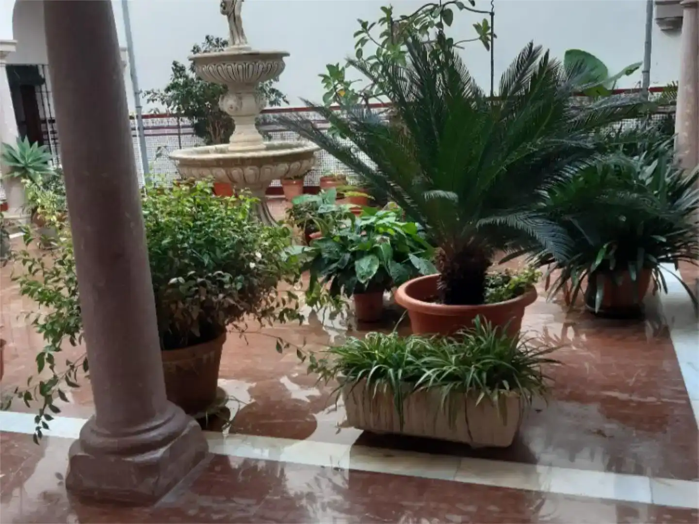 Terrace of Flat for sale in Casco Histórico