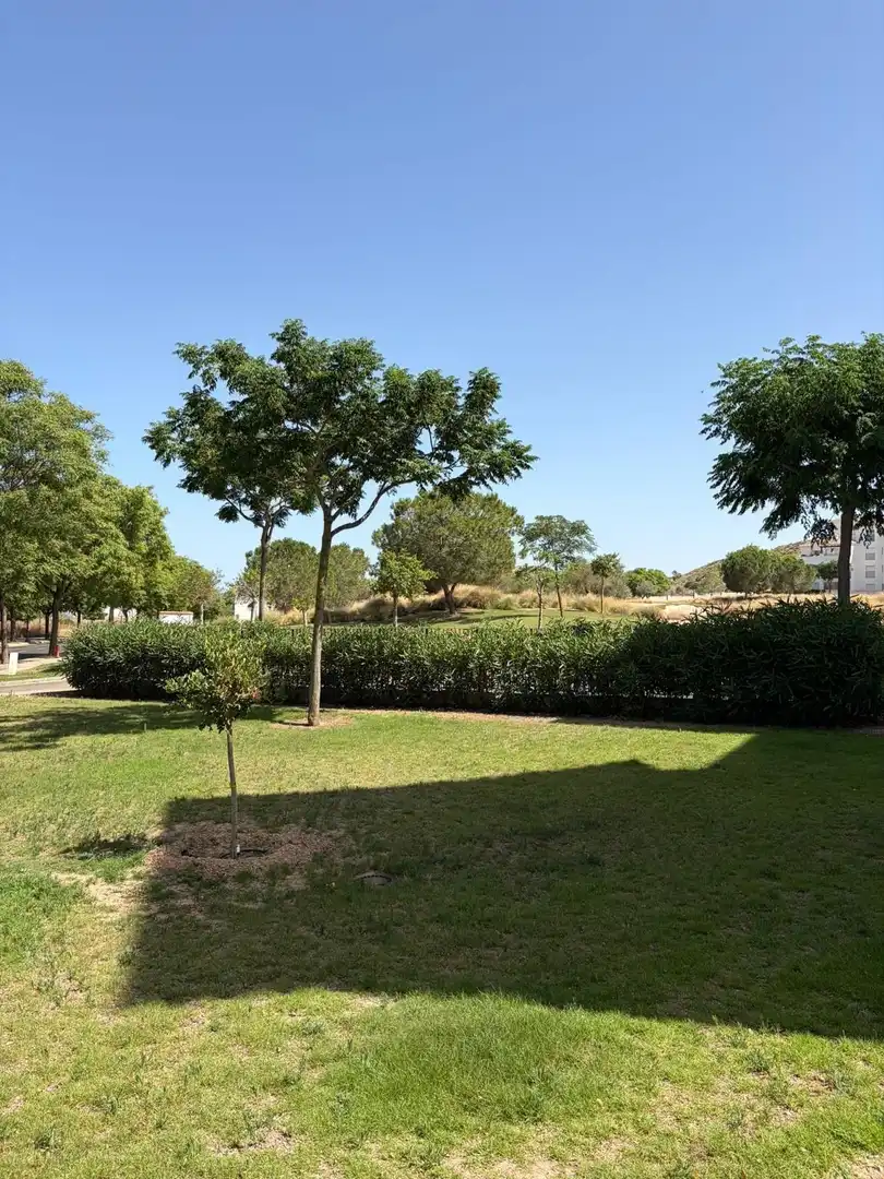 Apartament amb terrassa de lloguer a Campo de Murcia, imagen 9