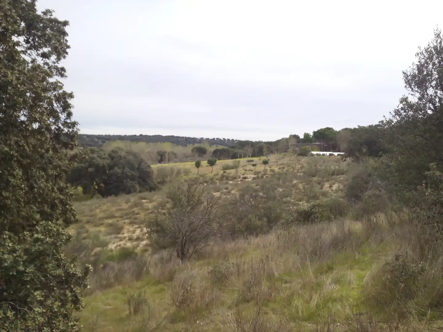 Terreno en venta en Aldea del Fresno