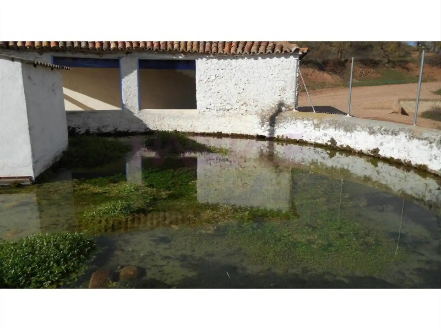 Terreni e lotti in affitto a Clarés de Ribota, imagen 5