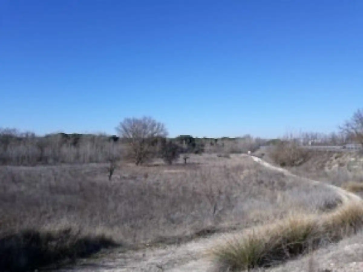 Terreno rustico in vendita a Tudela de Duero, imagen 2
