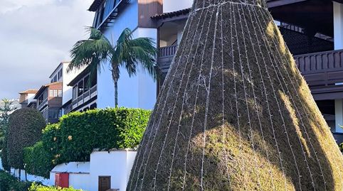 Foto 4 von Wohnungen zur Miete in Zona Botánico, Puerto de la Cruz
