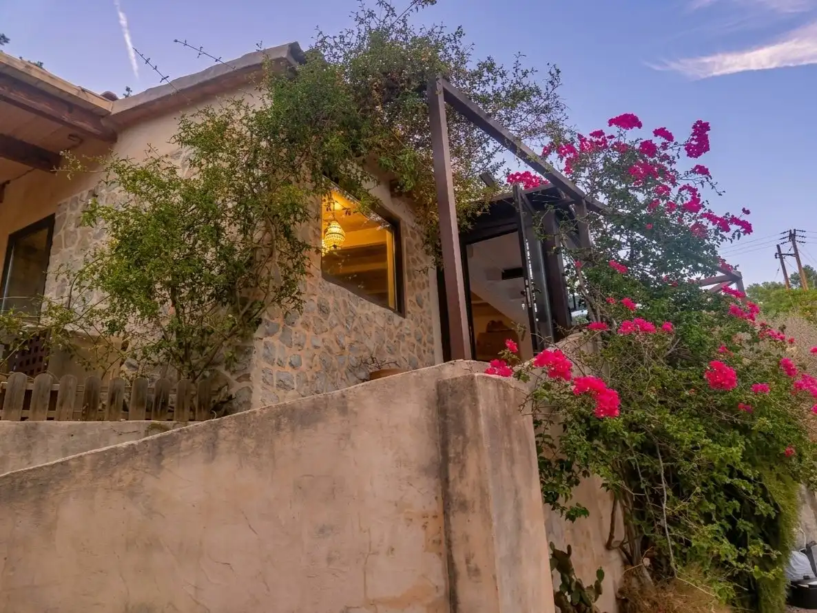 Exterior view of Country homes for sale in Selva  with Terrace and Swimming Pool