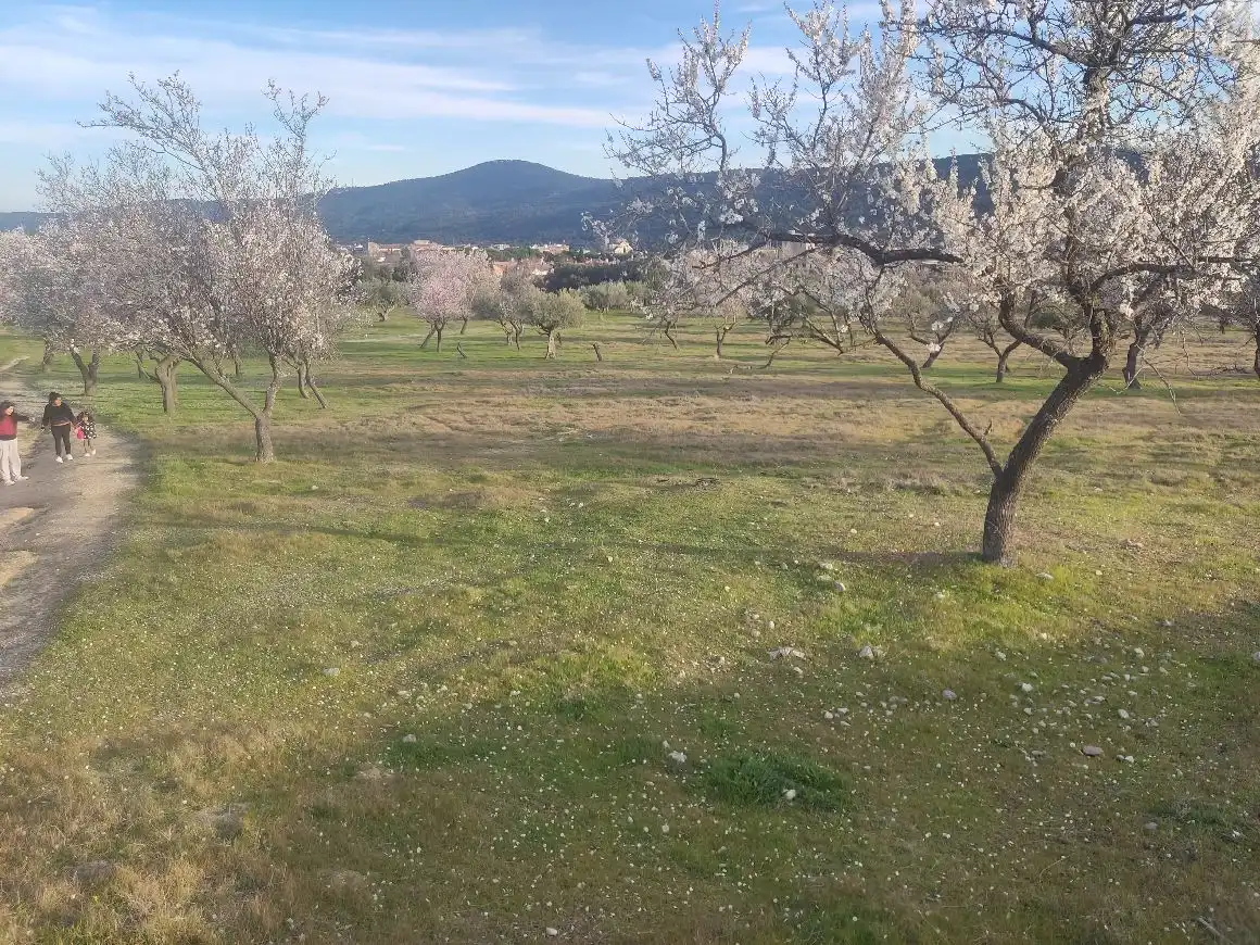 Rural land for sale in San Martín de Valdeiglesias, imagen 3